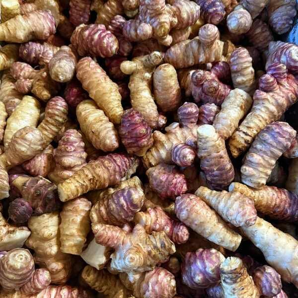 洗ってお届け！自然栽培の紫菊芋（フランス菊芋）1㎏ 南国にしがわ農園