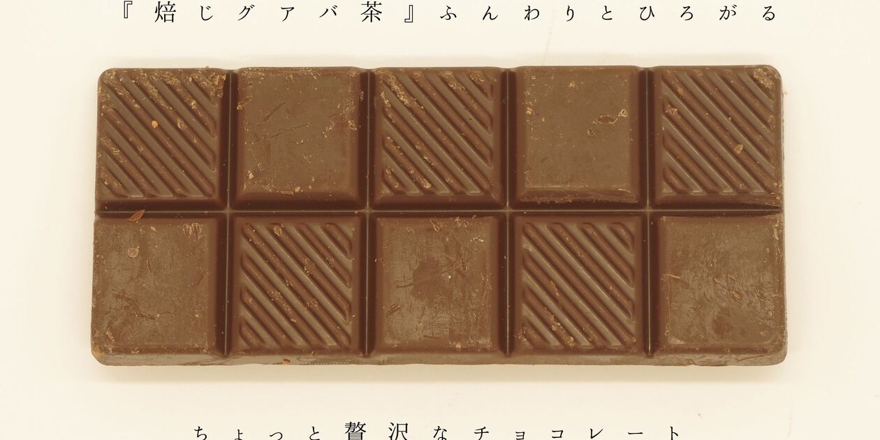 有機グアバ農園の プレミアムチョコレート74 南国にしがわ農園 (高知県