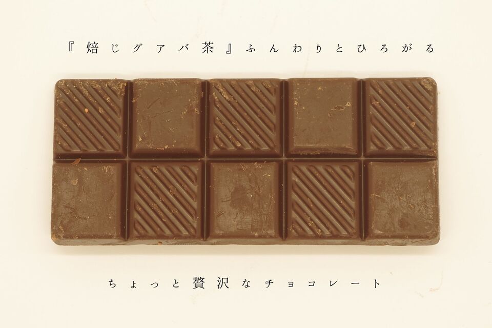 有機グアバ農園の プレミアムチョコレート74 南国にしがわ農園 (高知県