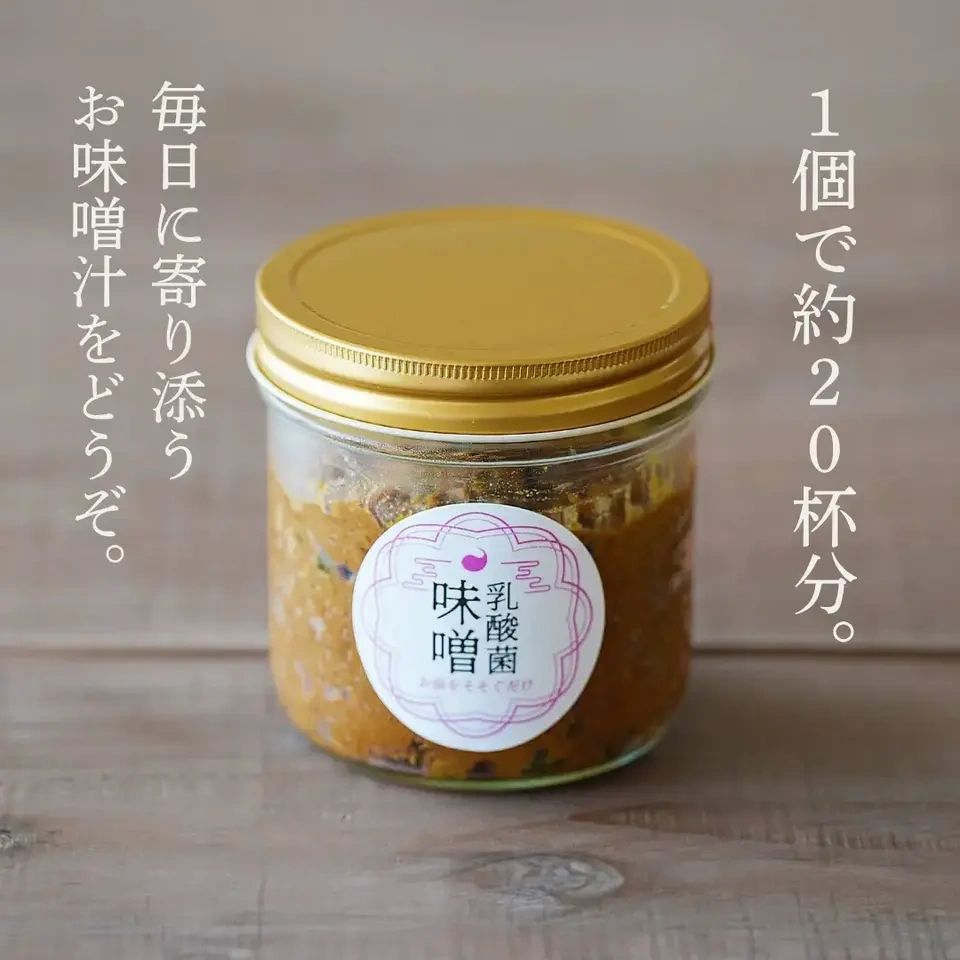 【乳酸菌味噌】お湯を注ぐだけで本物の味噌汁(20杯分)