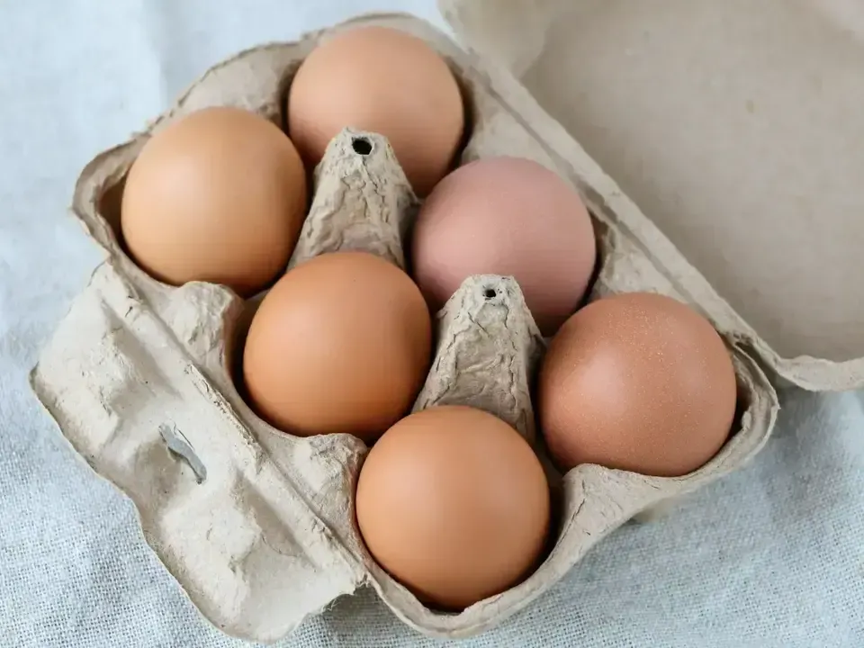 12個/鶏たちの暮らしから届く卵。平飼い放牧卵-itadaki-