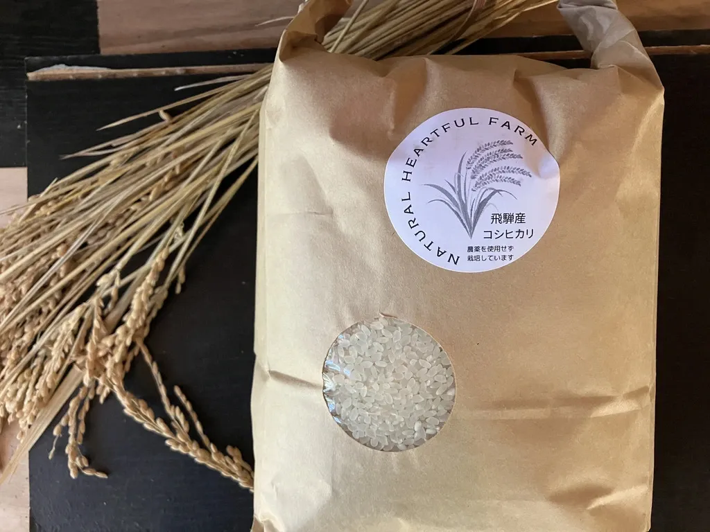 農薬・肥料不使用の自然栽培米＜奥飛騨産こしひかり＞ハザがけ天日干し