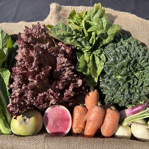 野菜セット商品一覧 | 無添加・無農薬の食品ネット通販 - たべるとくらすと