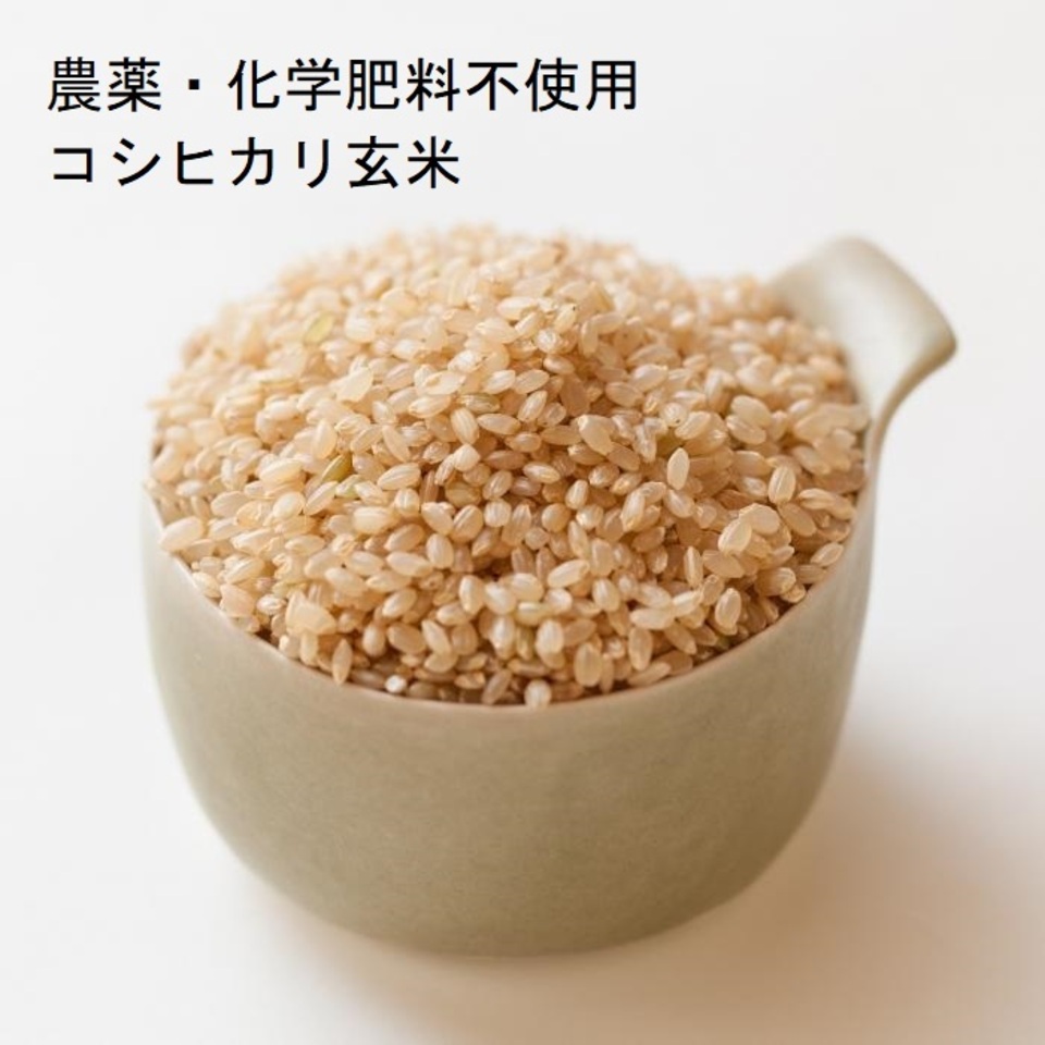 農薬・化学肥料不使用のコシヒカリをじっくり焙煎＜深煎り黒玄米茶＞【送料込・ポスト投函】