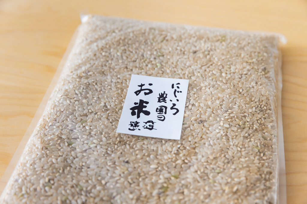 丹波篠山コシヒカリ令和7年産＜白米・玄米＞農薬・化学肥料不使用 丹波