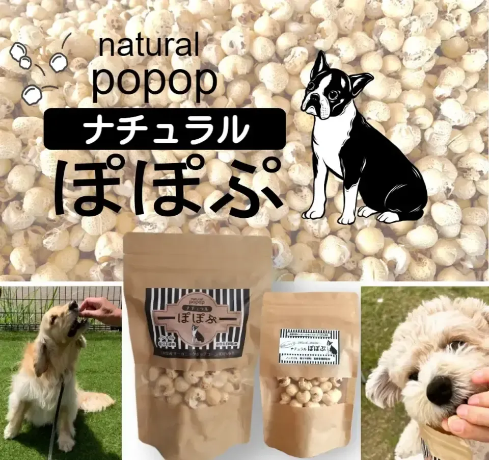 犬用おやつ～国産オーガニックポップコーン「ナチュラルぽぽぷ」 農家