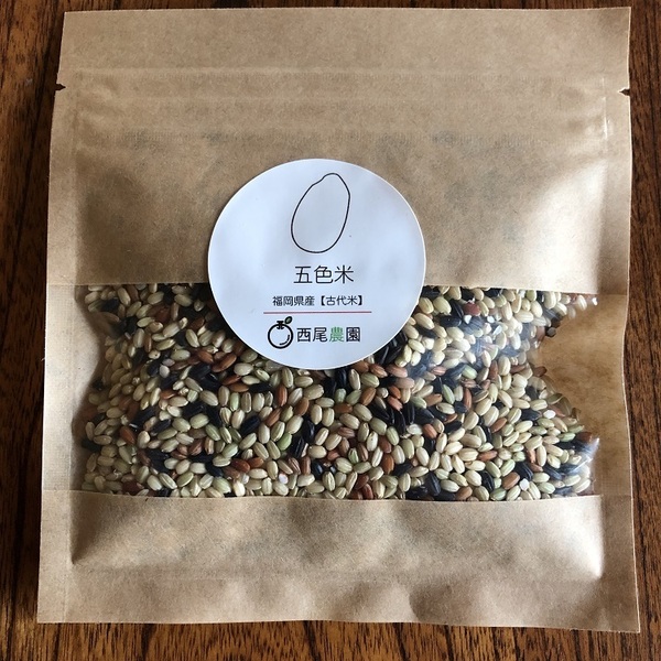 ⭐️無農薬⭐️南国の雰囲気 ソテツ Amazon｜ソテツ 南国の風 エキゾチック 蘇鉄 育てやすい 観葉