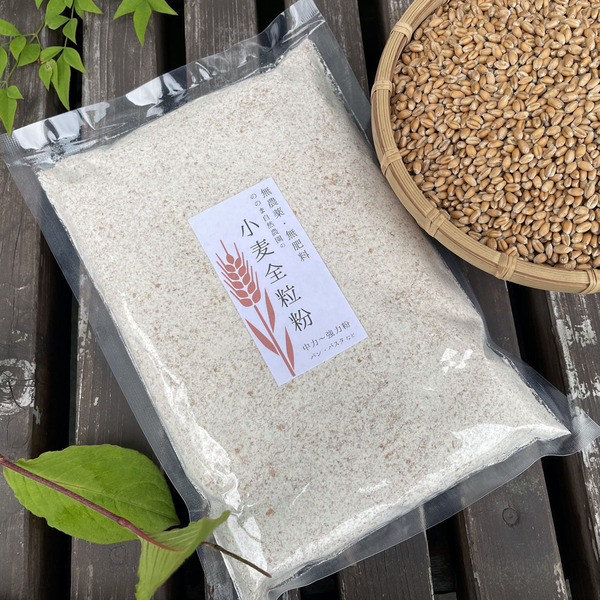 新米　数量限定  令和4年 マンゲツモチ 玄米17kg　美味保証　一軒の農家生産 2024年産》マンゲツモチ(もち米)玄米/白米 2kg〜【無農薬・無