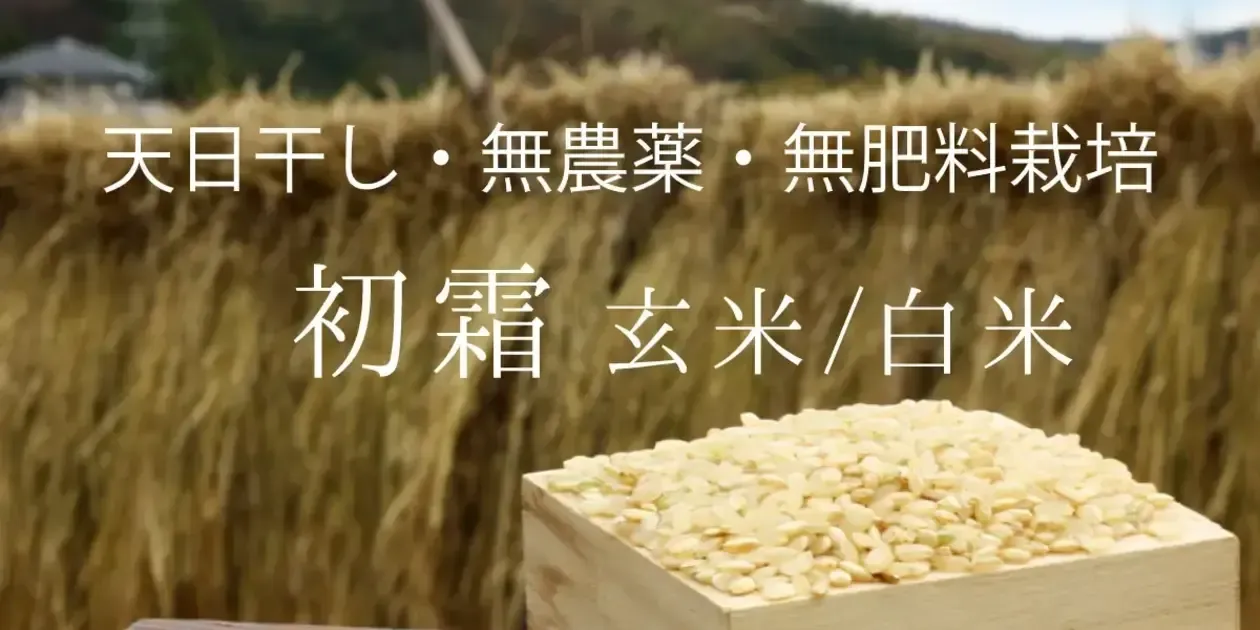 美味しいお米 令和7年度産 コシヒカリ 玄米 20キロ 無農薬天日干し