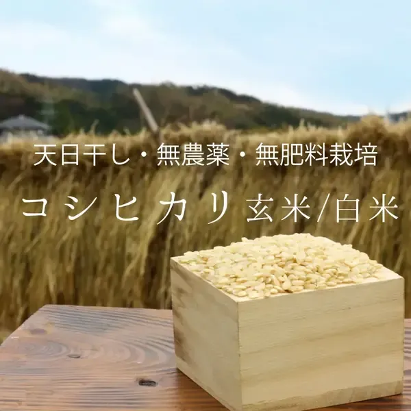 ■令和7年　コシヒカリ 玄米/白米　15キロ　標準米 無農薬　晴れの国　天日干し 令和7年度産＜コシヒカリ＞白米/玄米【無農薬・無肥料・天日干し】 の