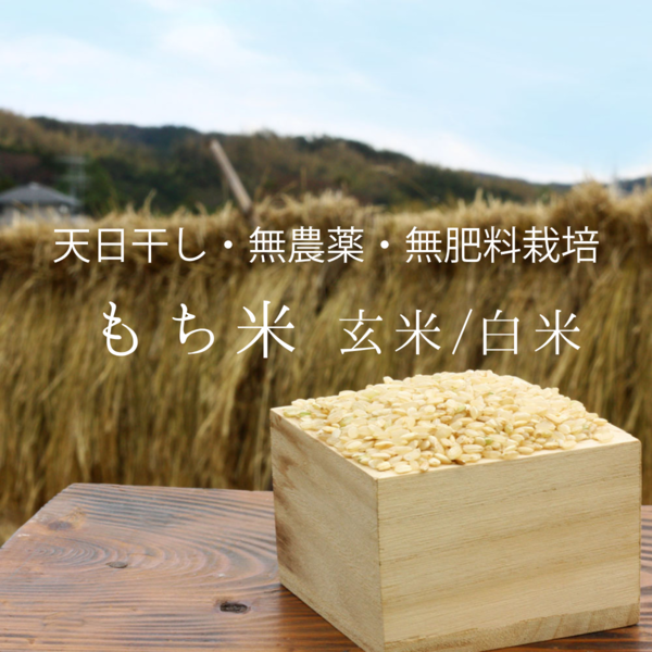 令和6年産　プリンセスサリー　玄米　10㎏　バスマティの香り　岡山県産 24年度産（令和6年） 千葉県鴨川市産プリンセスサリー