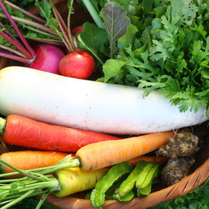 野菜セット商品一覧 | 無添加・無農薬の食品ネット通販 - たべるとくらすと