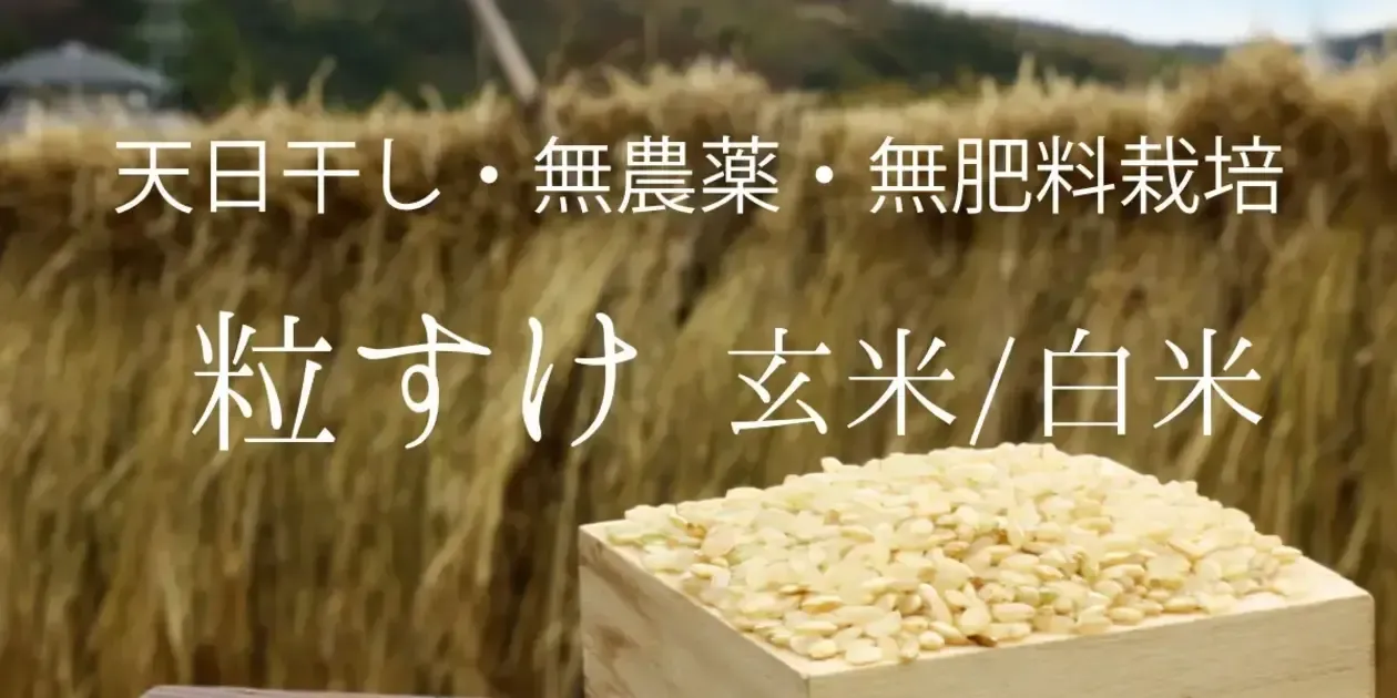 新米　黒米 3kg 千葉県いすみ市産 有機肥料 無農薬 古代米mix（三種混合）令和6年産（無農薬・無肥料/ハザかけ天