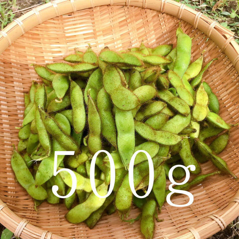 黒豆の枝豆【無農薬・無肥料】