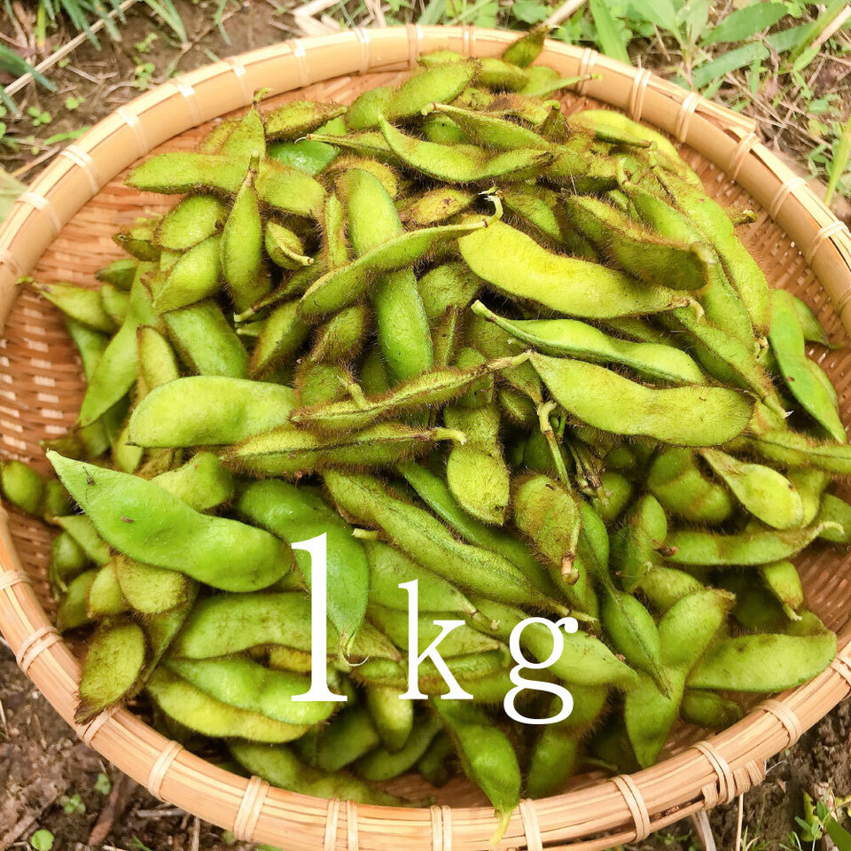 黒豆の枝豆【無農薬・無肥料】
