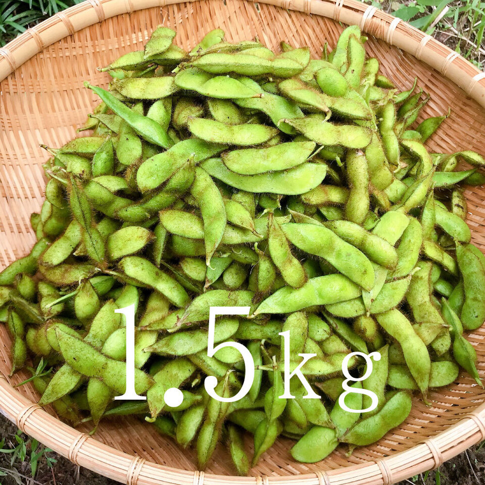 黒豆の枝豆【無農薬・無肥料】