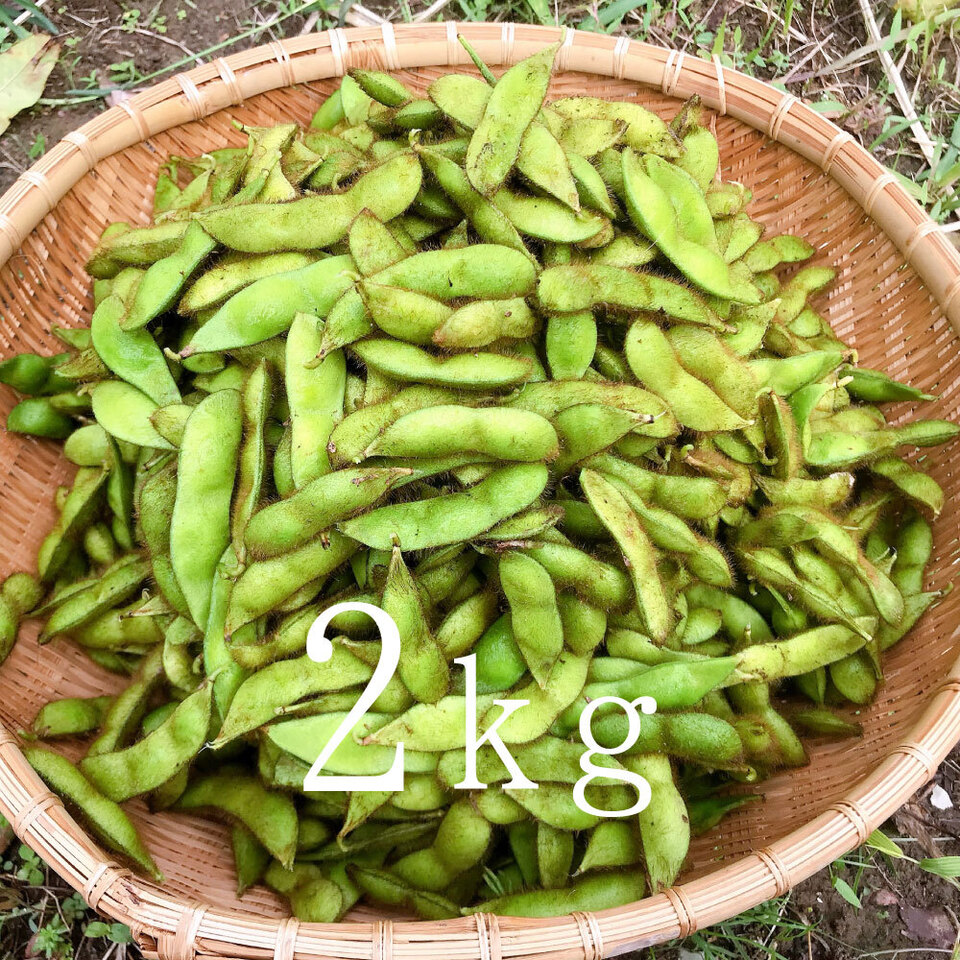 黒豆の枝豆【無農薬・無肥料】
