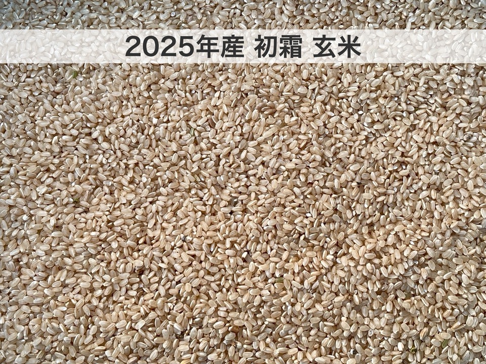 こだわりのお米 玄米20kg [天日干し・無農薬・有機肥料・籾保存]_2