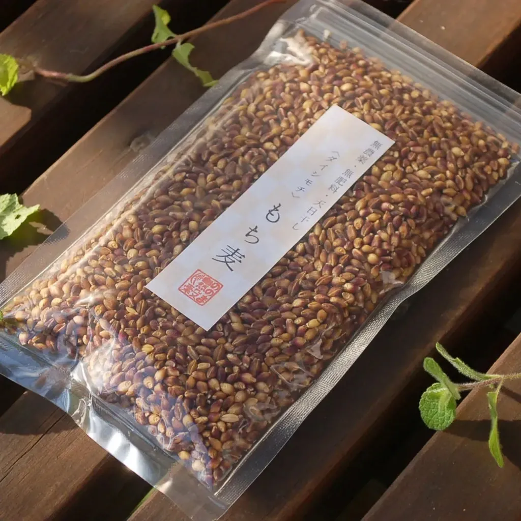 もち麦（ダイシモチ）【無農薬・無肥料・天日干し】 ののま自然