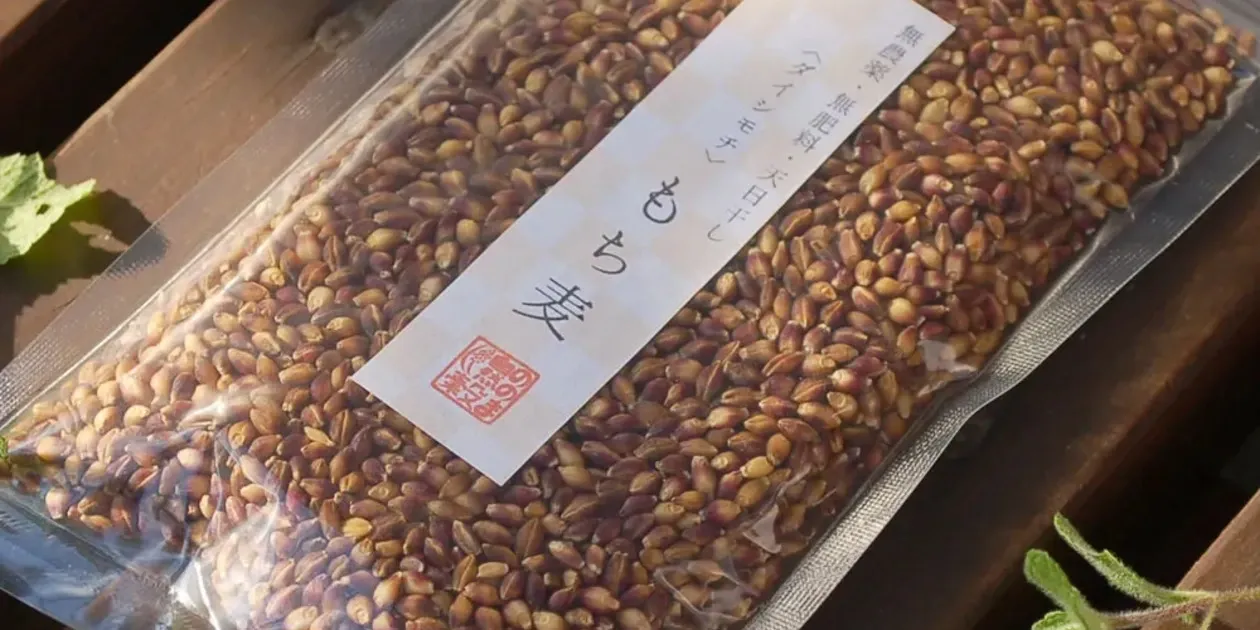 もち麦（ダイシモチ）【無農薬・無肥料・天日干し】 ののま自然
