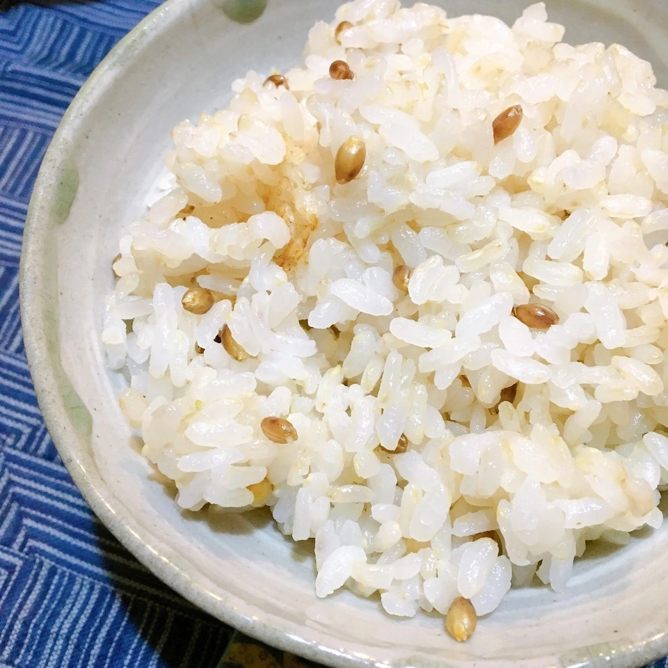 もち麦（ダイシモチ）【無農薬・無肥料・天日干し】