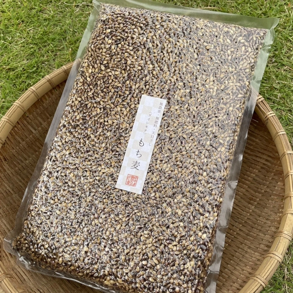 もち麦（ダイシモチ）お得用900g【無農薬・無肥料・天日干し】 ののま