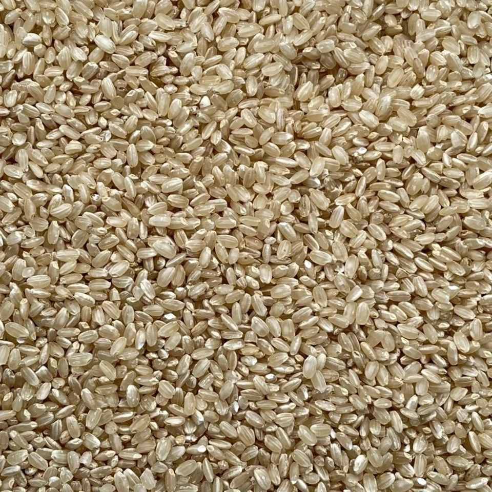 《予約》令和8年度産<コシヒカリ>玄米/白米【無農薬・無肥料】