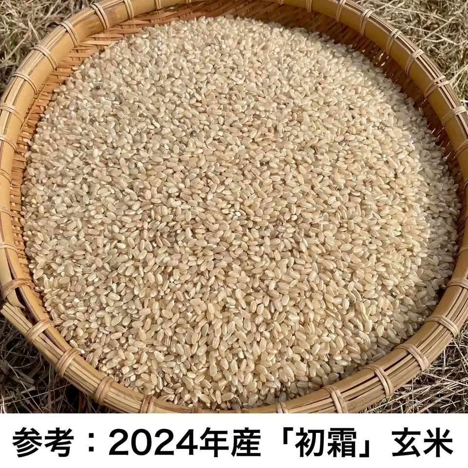 令和6年度産＜粒すけ＞白米/玄米【無農薬・無肥料・天日干し