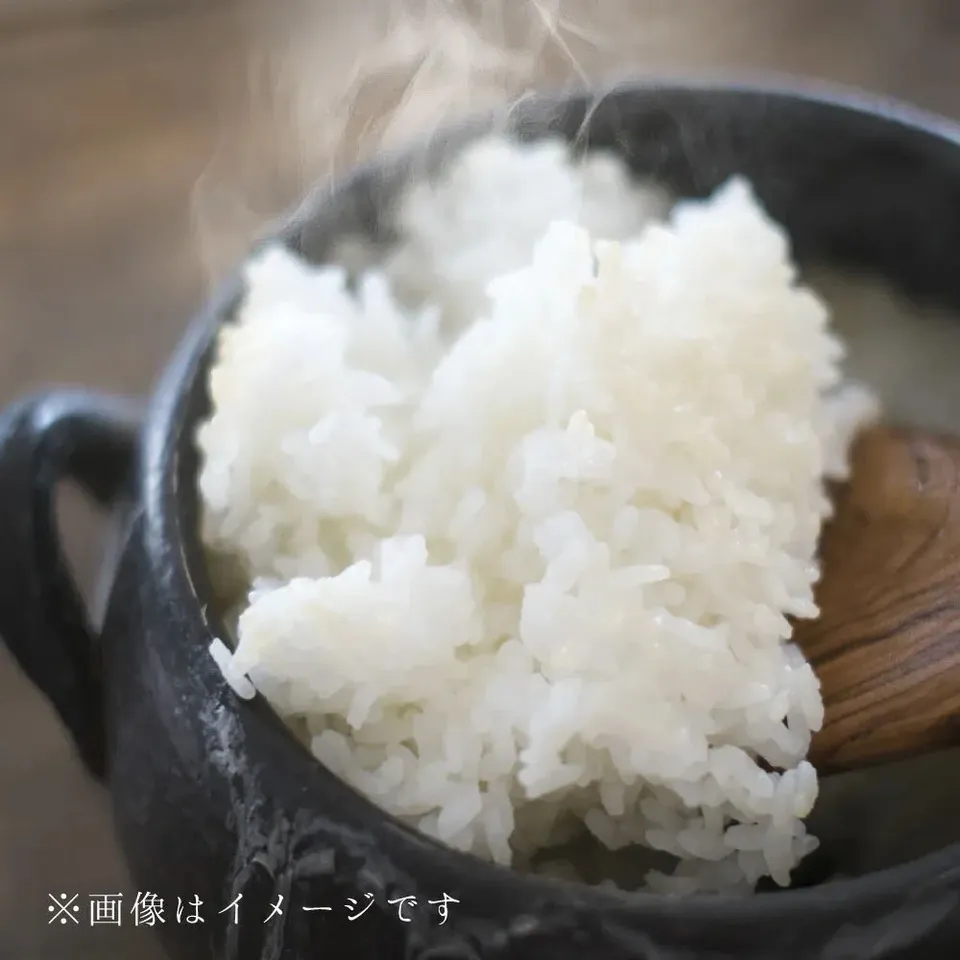 令和6年度産＜イセヒカリ＞白米/玄米【無農薬・無肥料・天日干し