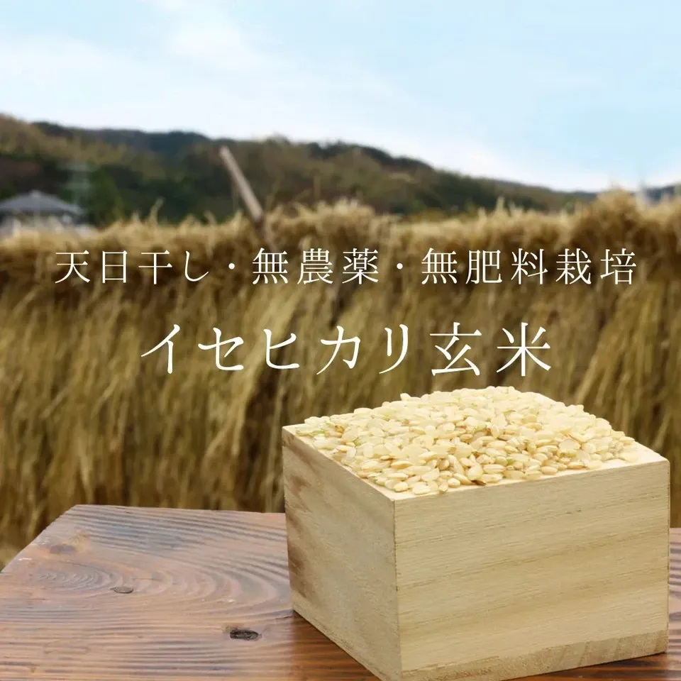 令和6年度　 群馬県産 低農薬 玄米 20kg 令和6年度 群馬県産 低農薬 玄米 20kg 令和6年度 群馬
