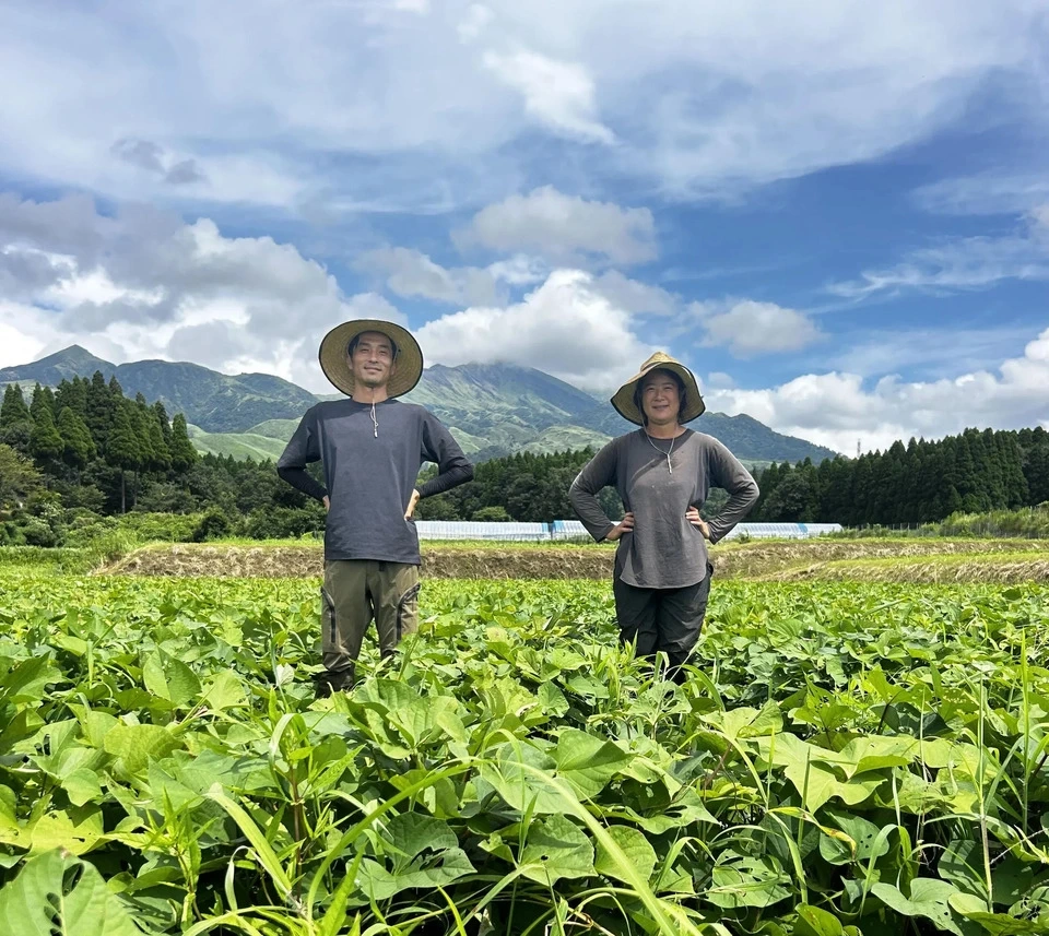 熊本県産オーガニックさつまいも<紅はるか>新芋ホクホク甘さ控えめ・熊本県南阿蘇産・有機JAS・令和8年産・焼き芋に◎