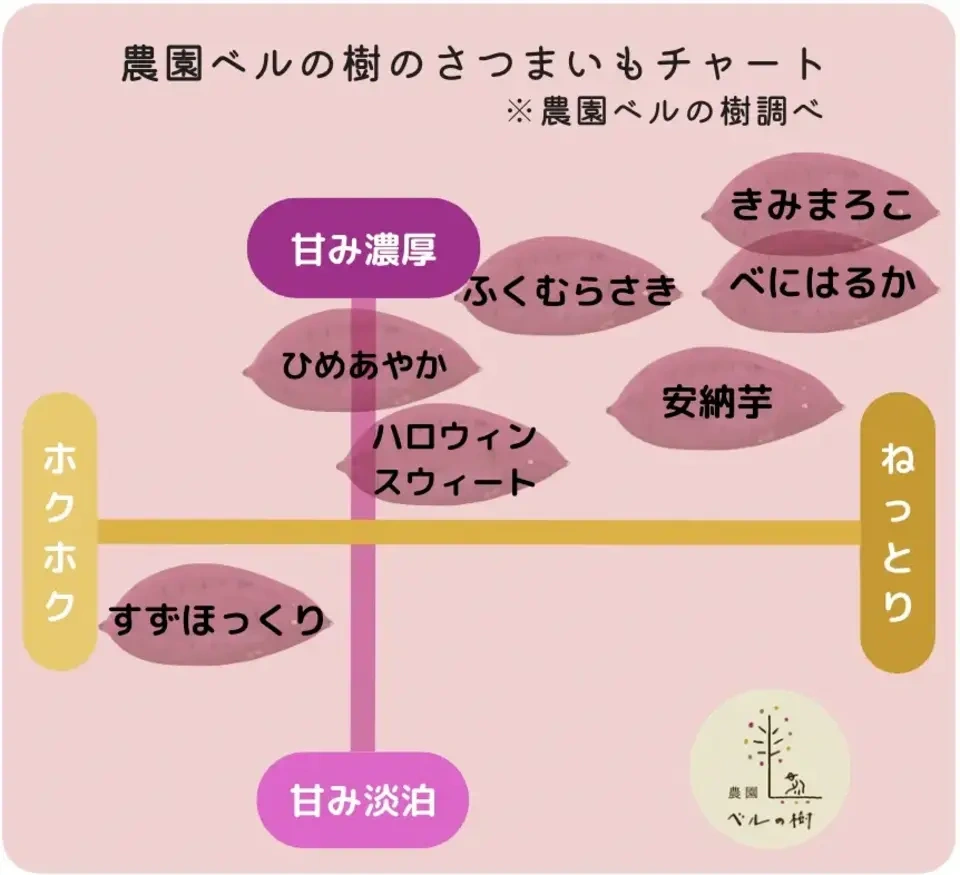 熊本県産オーガニックさつまいも<紅はるか>新芋ホクホク甘さ控えめ・熊本県南阿蘇産・有機JAS・令和8年産・焼き芋に◎