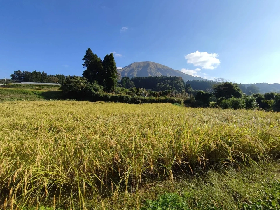 ＜中華麹＞熊本県南阿蘇産｜自然栽培・有機栽培の米麹・にんにく・生姜・ネギ使用｜中華料理に◎