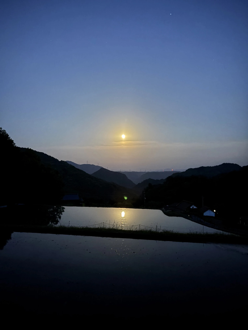 農園空の通販 - たべるとくらすと