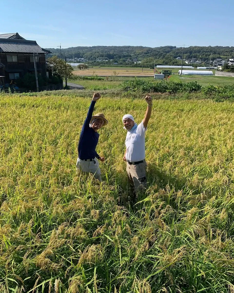 自然栽培イセヒカリの【玄米コーヒー】無農薬無肥料栽培のイセヒカリを土鍋で焙煎しました