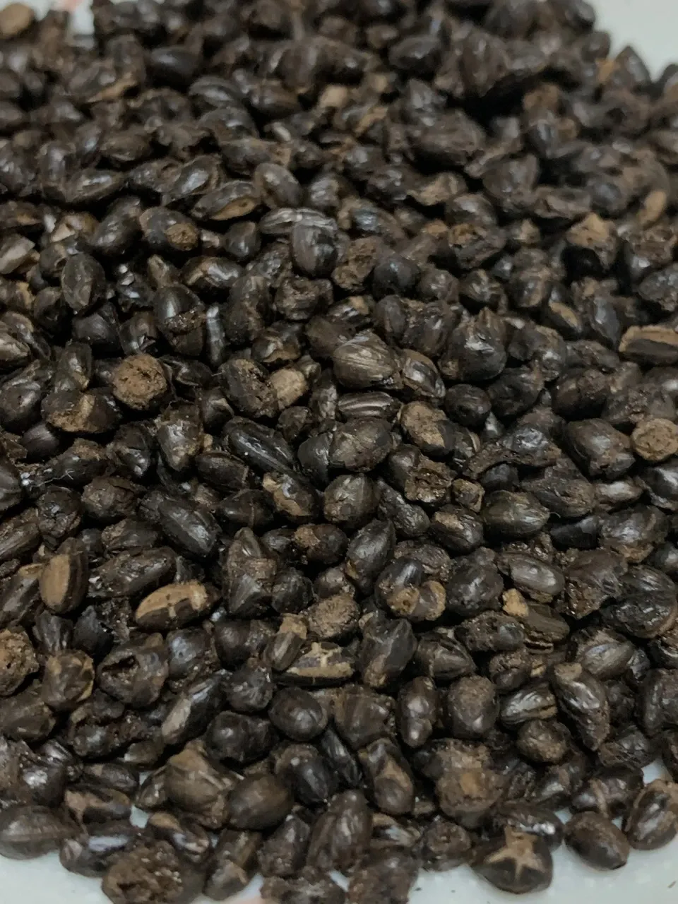 自然栽培イセヒカリの【玄米コーヒー】無農薬無肥料栽培のイセヒカリを土鍋で焙煎しました