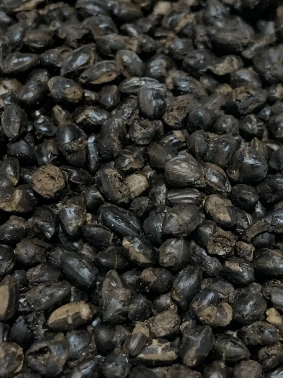 自然栽培イセヒカリの【玄米コーヒー】無農薬無肥料栽培のイセヒカリを土鍋で焙煎しました
