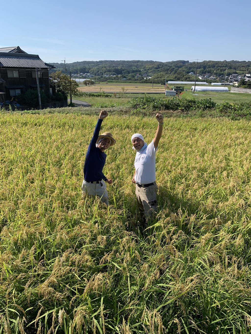 いせひかり】令和7年度 無農薬無肥料の自然栽培米です。 農業！たいこ