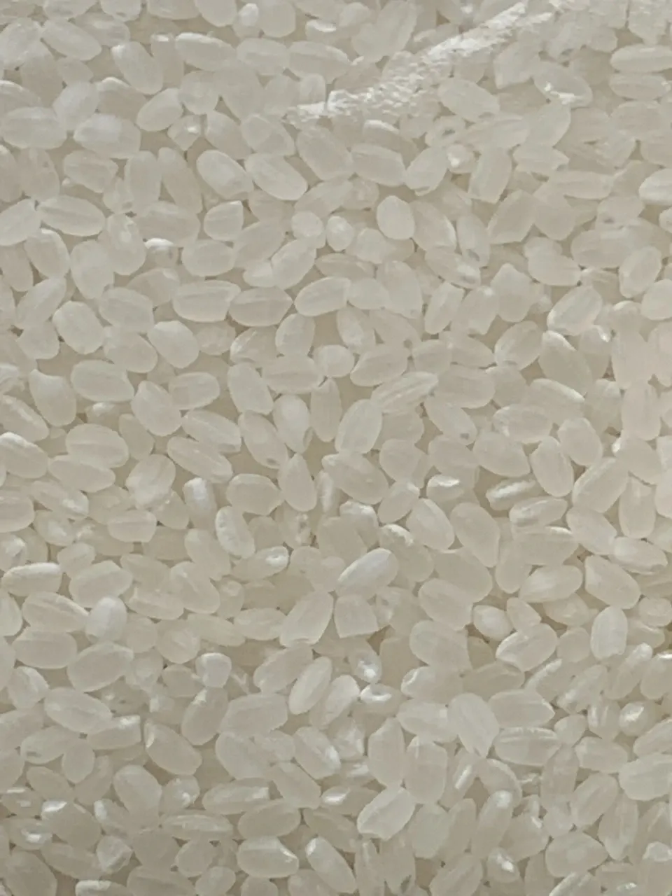 令和6年度産 ヒノヒカリ 農薬不使用 混合米 5kg Amazon.co.jp: 【無農薬・無化学肥料・除草剤不使用】 精白米 令