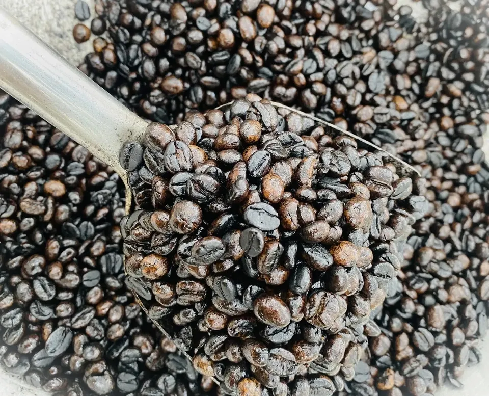 【無農薬】本当に美味しい☆《自然発酵・手焙煎》カカオコーヒー〈粉〉