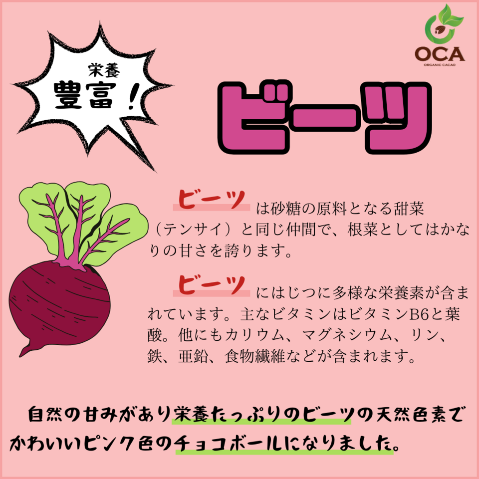ベトナム産有機栽培＜皮も丸ごとカカオ豆チョコレートボール＞ダーク72%・ホワイト・ビーツ・ガックフルーツ