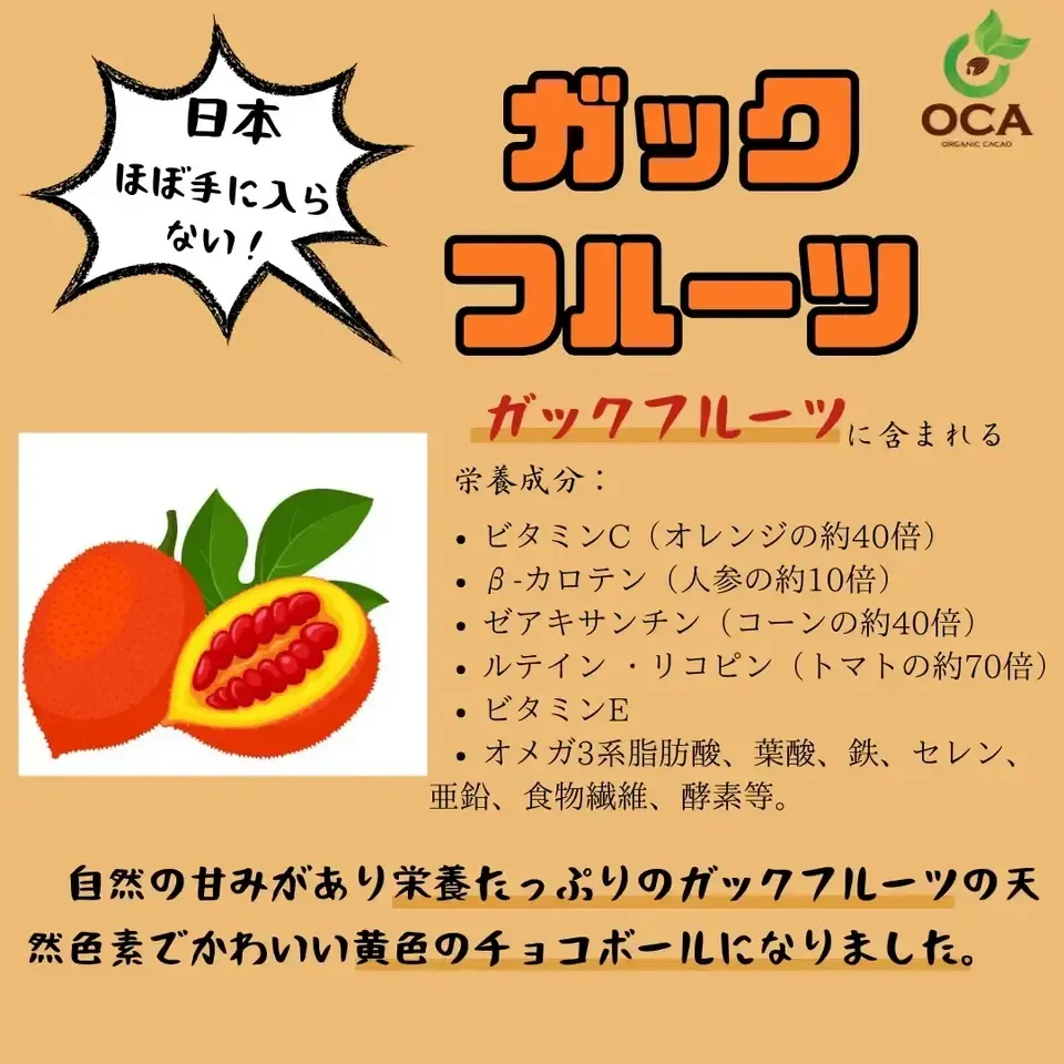 (お得用1kg)ベトナム産有機栽培<皮も丸ごとカカオ豆チョコレートボール>ダーク72%・ホワイト・ビーツ・ガックフルーツ