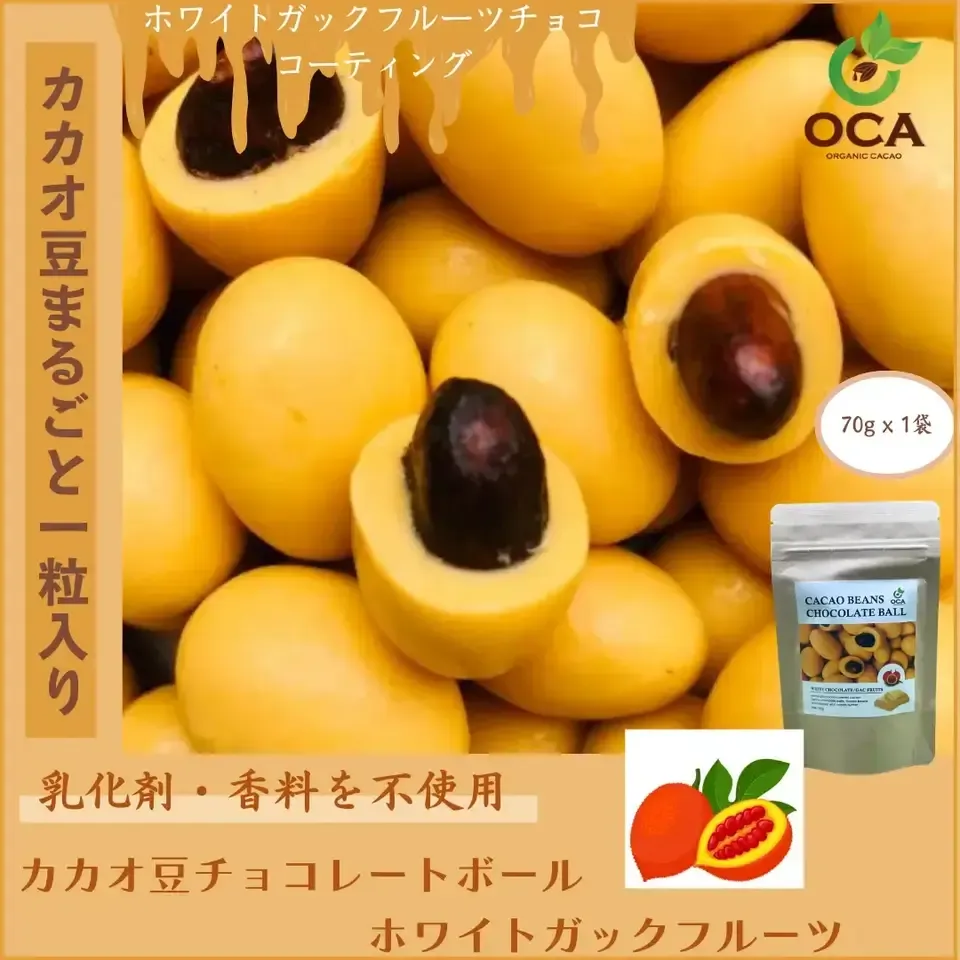 (お得用1kg)ベトナム産有機栽培<皮も丸ごとカカオ豆チョコレートボール>ダーク72%・ホワイト・ビーツ・ガックフルーツ