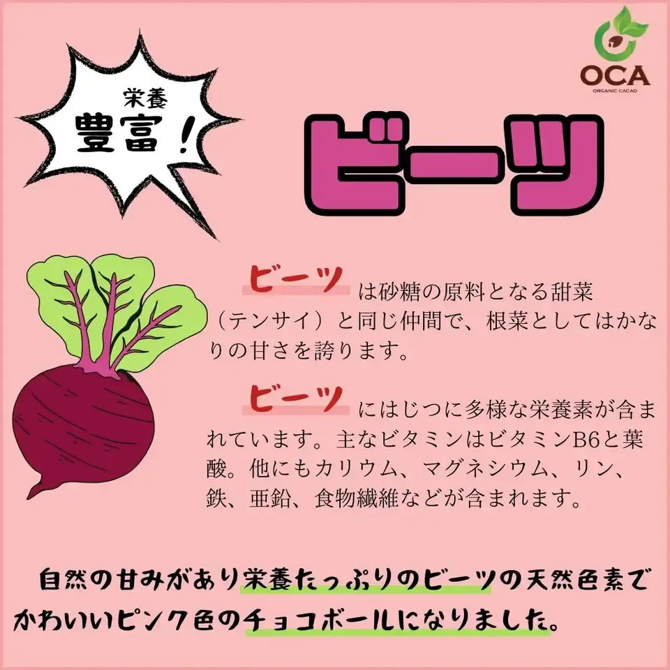 (お得用1kg)ベトナム産有機栽培<皮も丸ごとカカオ豆チョコレートボール>ダーク72%・ホワイト・ビーツ・ガックフルーツ