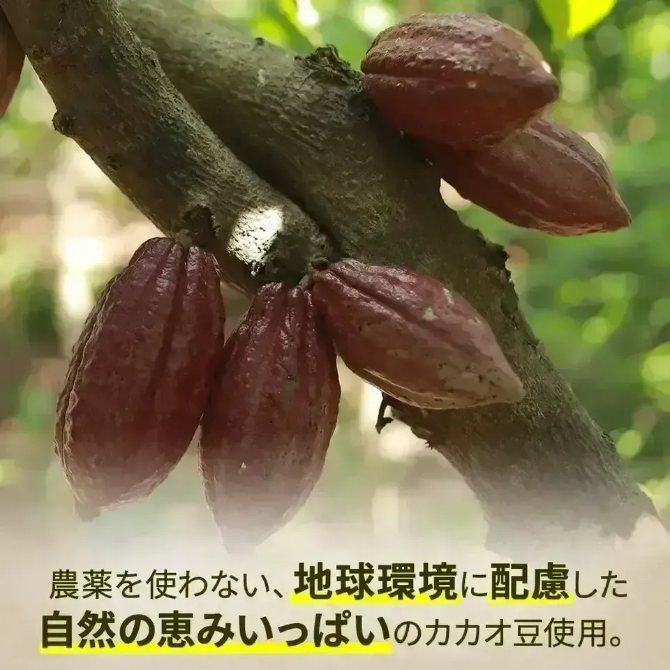 【新発売】ホワイトチョコレート 50%｜オーガニックカカオバター使用・無添加