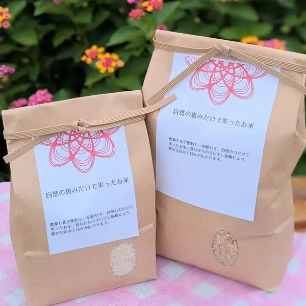 _600x600_251111193933.webp