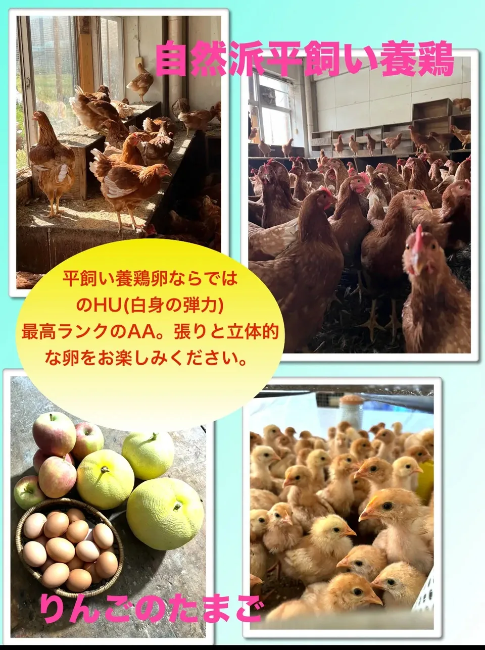青森・津軽の平飼い卵「りんごのたまご」りんごの発酵飼料で育てた自然