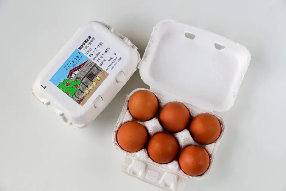 青森・津軽の平飼い卵「りんごのたまご」りんごの発酵飼料で育てた自然