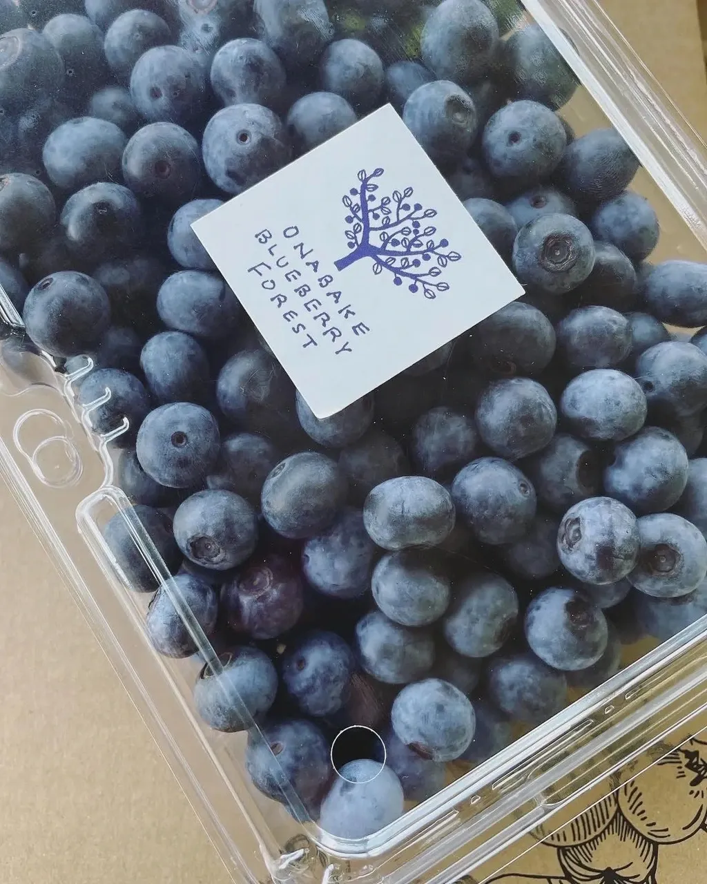 2026年産予約】完熟で風味豊か！冷凍ブルーベリー400g×3p【栽培期間中