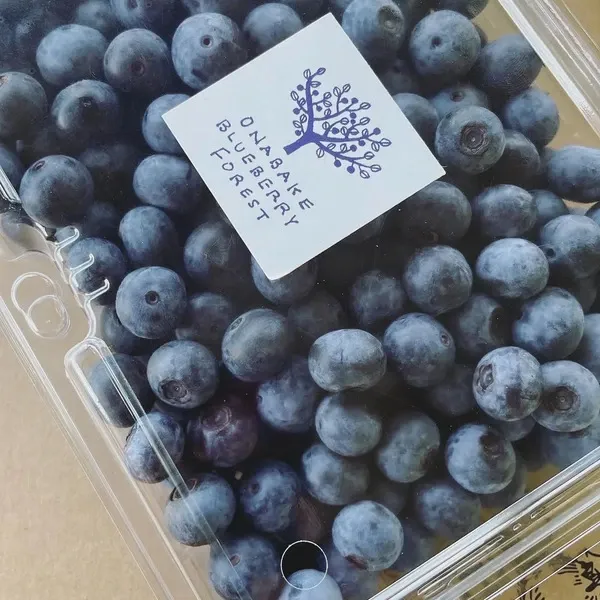 _600x600_250505083341.webp